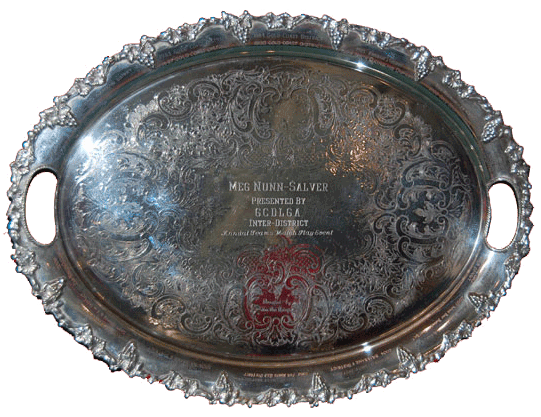 Meg Nunn Salver